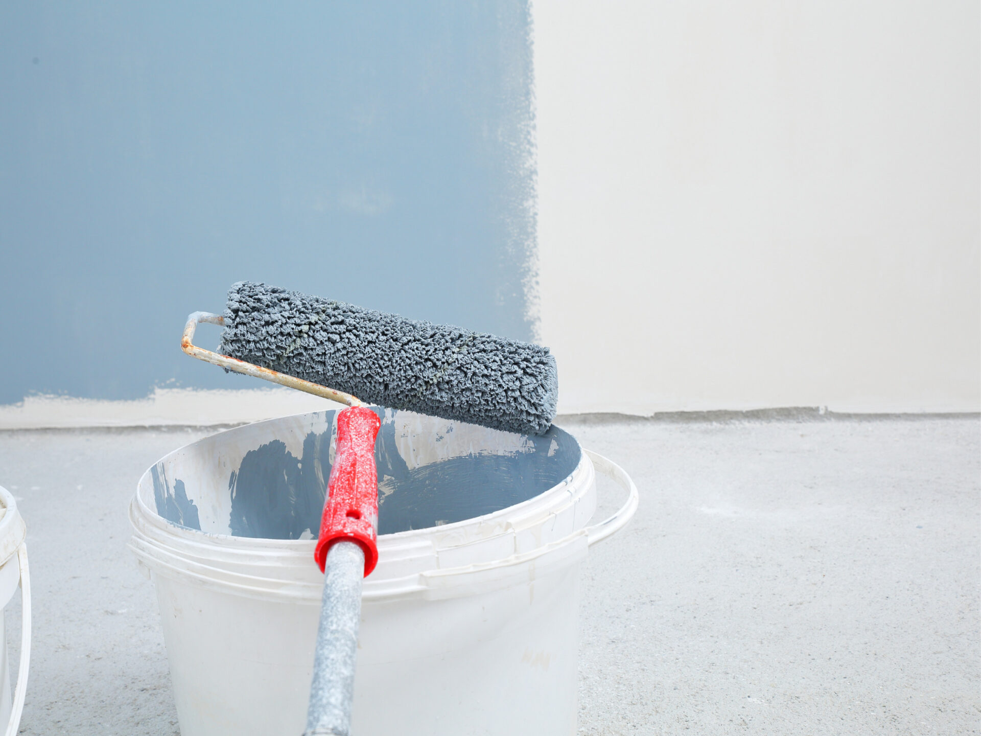 FELIPA (6)